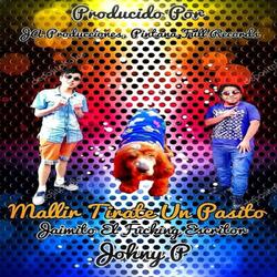 Mallir Tirate un Pasito