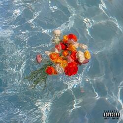 Dónde Está Esa Carita? :(