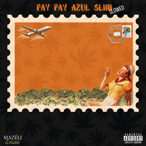 Pay Pay Azul Slim (Deluxe)