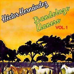 Sentimiento Apureño