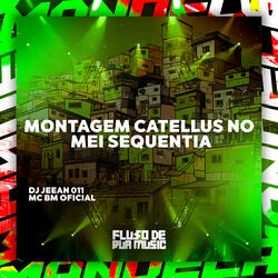 Montagem Catellus no Mei Sequentia