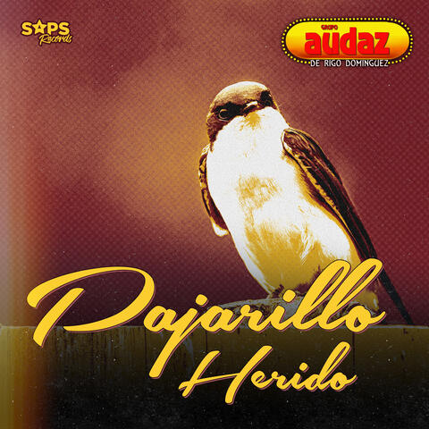 Pajarillo Herido
