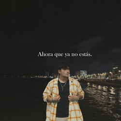 Ahora Que Ya No Estás.