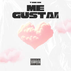 Me Gustai