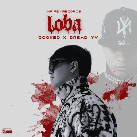 Loba