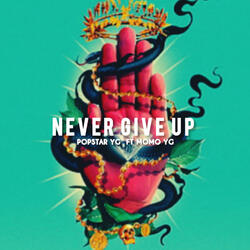 Never Give Up
