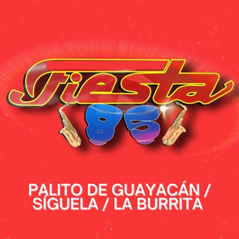 Palito De Guayacán / Síguela / La Burrita
