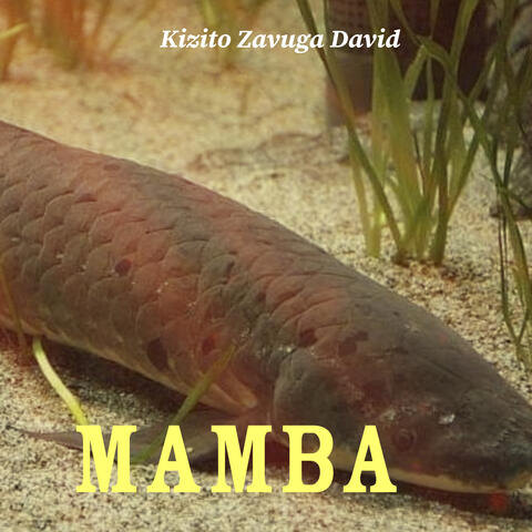 Mamba