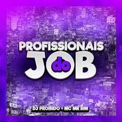 Profissionais do Job