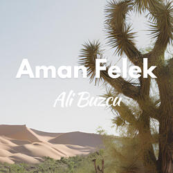 Aman Felek