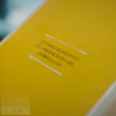 Resiliencia