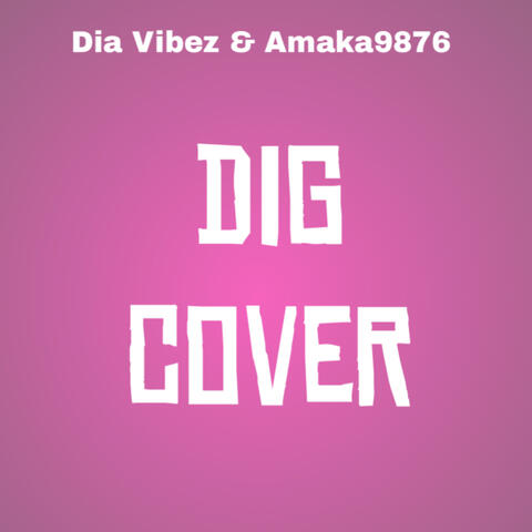 Dig