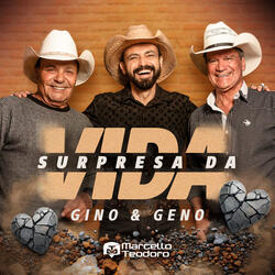 Surpresa da Vida