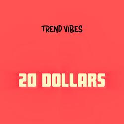 20 Dollars