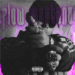 Flow Montana