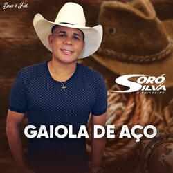 Gaiola de Aço
