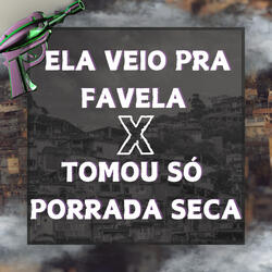 Ela Veio pra Favela X Tomou Só Porrada Seca