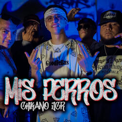 Mis Perros