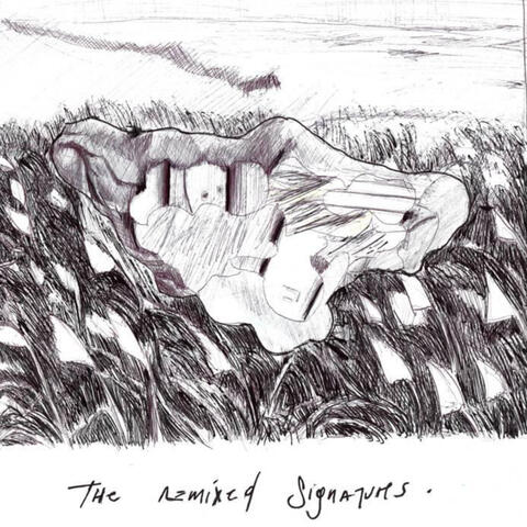 The Remixed Signatures