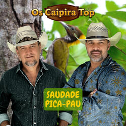 Saudade Pica-Pau