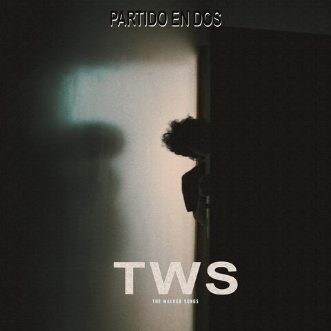 Partido en Dos
