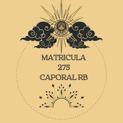 Matricula 275