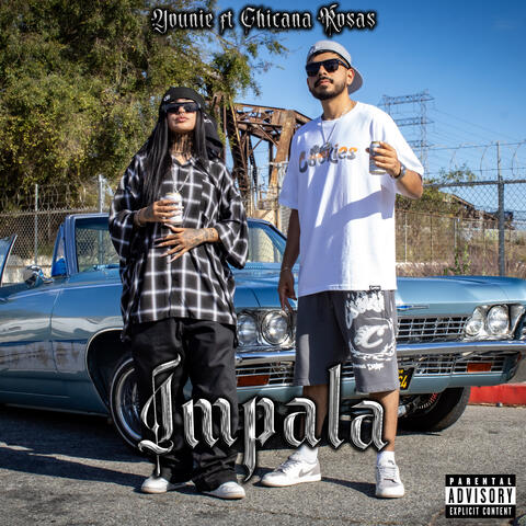 Impala
