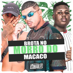 Brota no Morro do Macaco