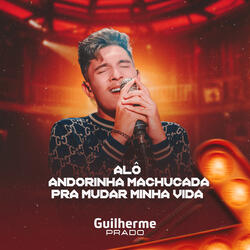 Alô / Andorinha Machucada / Pra Mudar Minha Vida