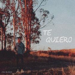 Te Quiero