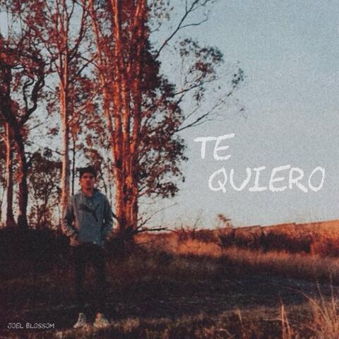Te Quiero