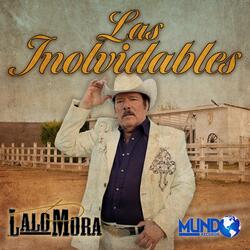 El Pavido Navido