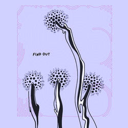 Find Out