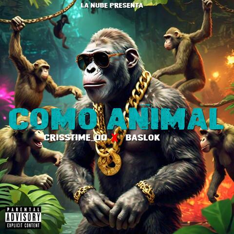 Como Animal