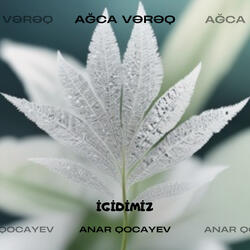 Ağca Vərəq