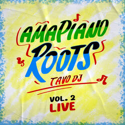 Amapiano Roots, Vol. 2
