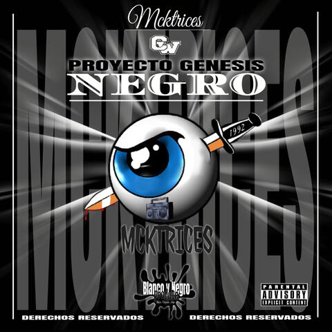 Proyecto Genesis Negro