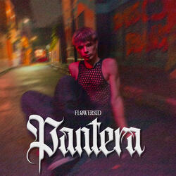 Pantera