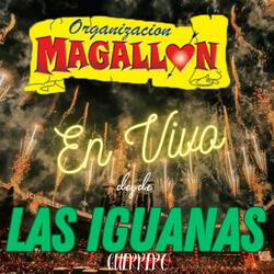 Pájaro Amarillo / Canción del Mariachi
