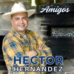 Amigos