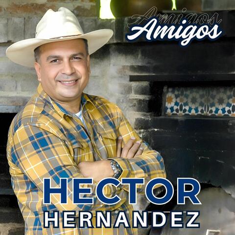 Amigos