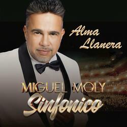 Alma Llanera