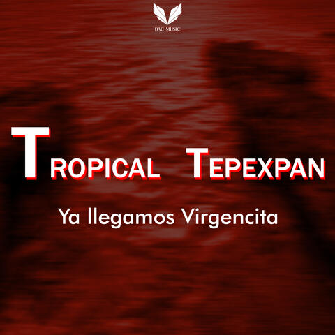 Ya Llegamos Virgencita