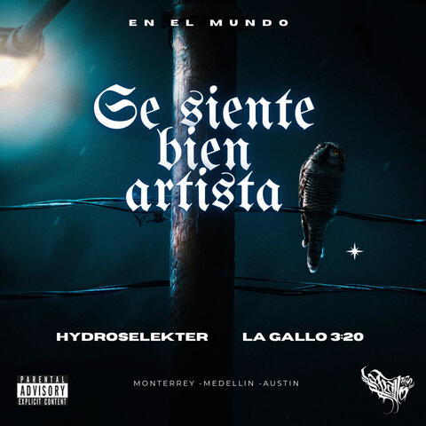 Se Siente Bien Artista