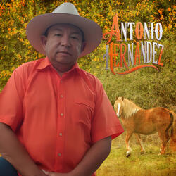 En Cristo Si Hay Bendición