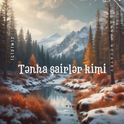 Tənha şairlər kimi
