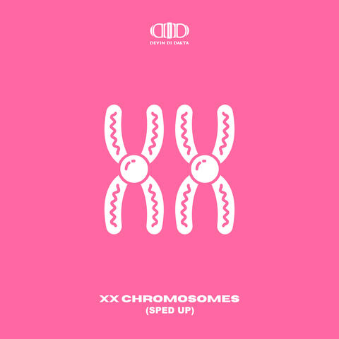 XX Chromosomes
