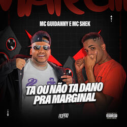 Ta ou Não Ta Dando pra Marginal