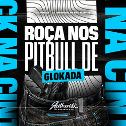 Roça nos Pitbull de Glokada