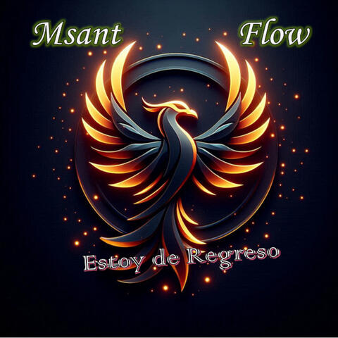 Estoy de Regreso